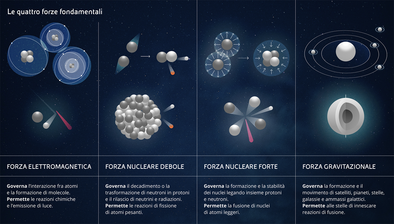 Le_quattro_forze_fondamentali